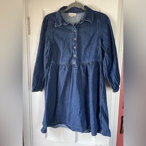 LOFT Indigo Denim Shirt Dress